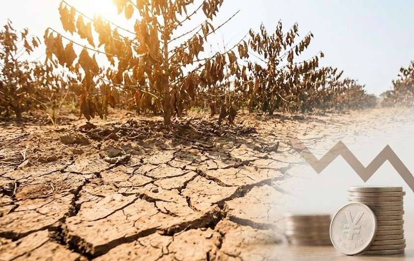 値上げの理由はベトナムの深刻な干ばつと円安